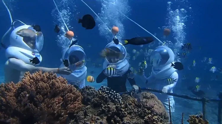 Melakukan marine walk di Gili Trawangan, Sumber: befreetour.com
