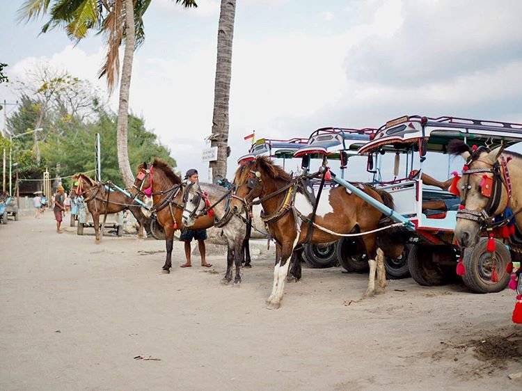 Suasana Penduduk Gili Air, sumber ig n.sapulete