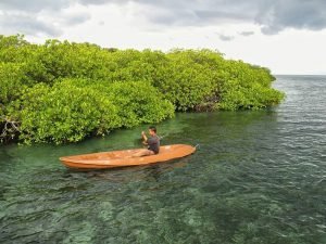 Hutan Mangrove Gili Sulat, sumber gambar ig @pondoksiola