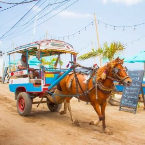 Kendaraan tradisional Cidomo, sumber buliran.com