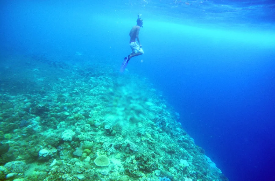 Gili Meno dengan karakternya yang unik. Sumber: https://www.tiket.com/