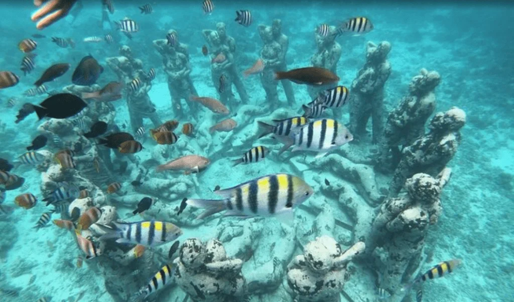 Ikan-ikan yang bermacam-macam. Sumber: https://www.tripadvisor.com