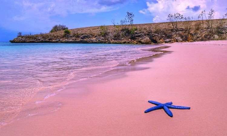 Menghabiskan waktu untuk wisata akhir tahun di Pantai Pink Lombok, Sumber: itrip.id