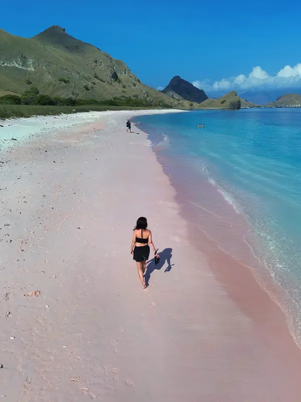 Pink Beach destinasi open trip Lombok Labuan Bajo kapal Alfathran-3