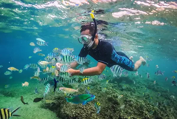 paket snorkeling gili kondo paket tour lombok murah