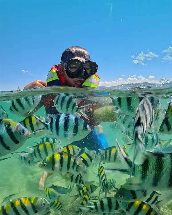 paket snorkeling gili nanggu di lombok