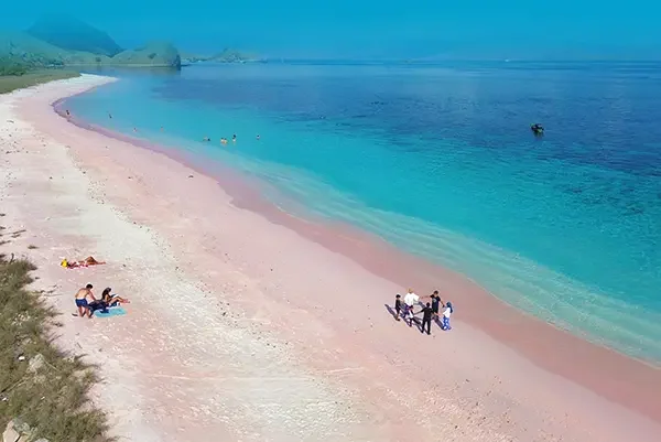 pantai pink komodo peserta open trip labuan bajo