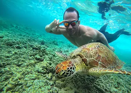 snorkeling dengan penyu di gili trawangan